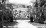 Tropical Court Yard with palms and citrus trees